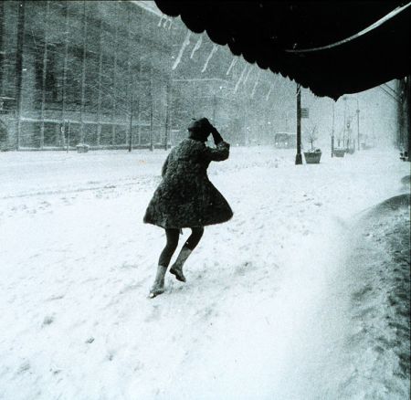 616px-Miniskirts_in_snow_storm