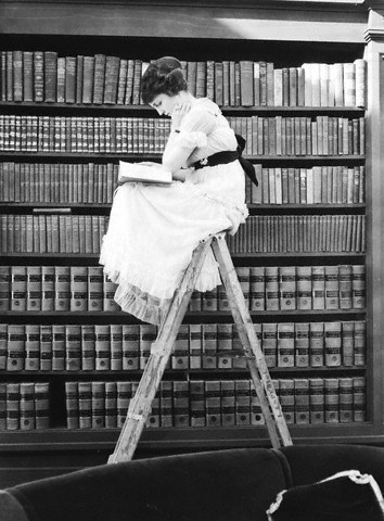 reading_on_a_ladder