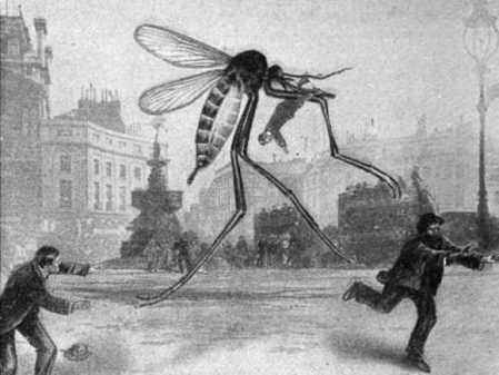 drawing-of-giant-mosquito