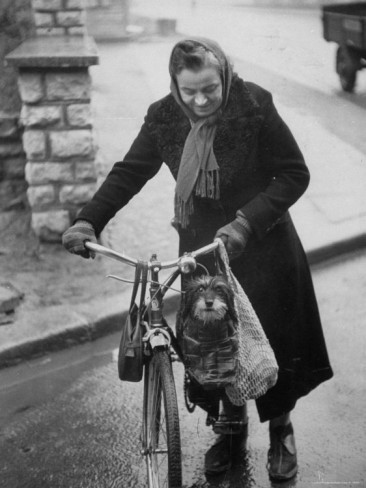 ralph-crane-lady-pushing-her-bicycle-with-puppy-riding-in-bag
