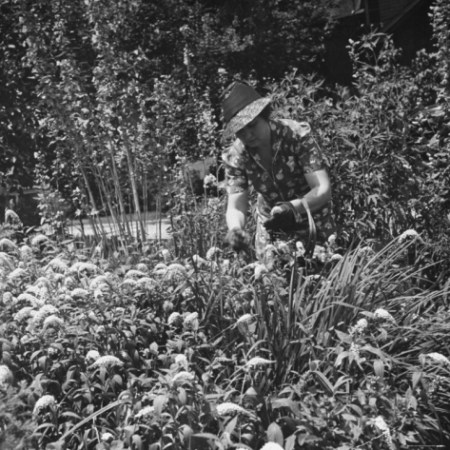 hansel-mieth-mrs-david-smith-working-in-the-garden_i-G-26-2695-VDOUD00Z