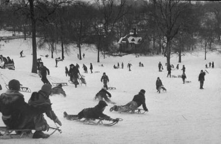 Boys and girls playing and sledding in Central Park after snow fall. 2