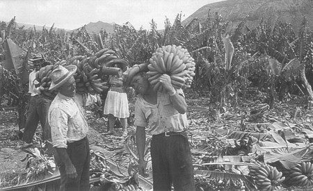 459cf719bb9945e05fbe16623a1d208e.1000x613x1