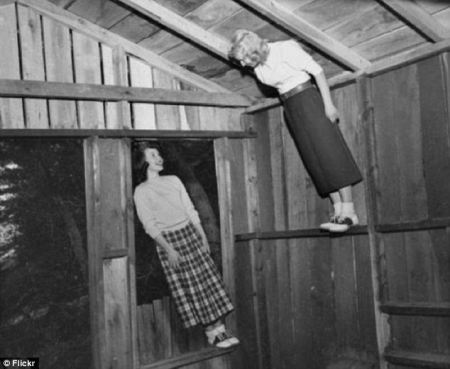 article-2291914-1892D3A3000005DC-469_634x520