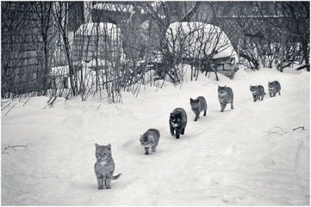 February-24-2012-23-45-58-tumblrltj561QkT81r20hi2o1500