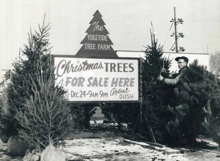 bob-yuletide-farm-photo_web