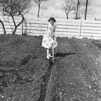 1943_wartime_garden_2