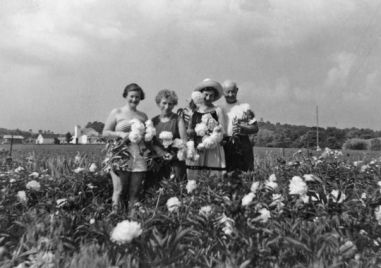 B9316566695Z.1_20150316073744_000_GJGA6M2HJ.1-0