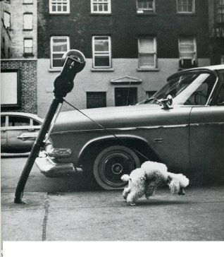 0_65465_402daf5a_orig