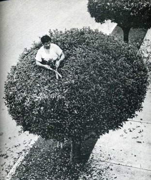 0_65489_f1107794_orig