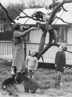 1c095347397fd5d6f03f1d2b18a6debb