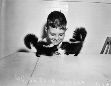 tumblr_ndv25abrzk1rbrgsjo1_500