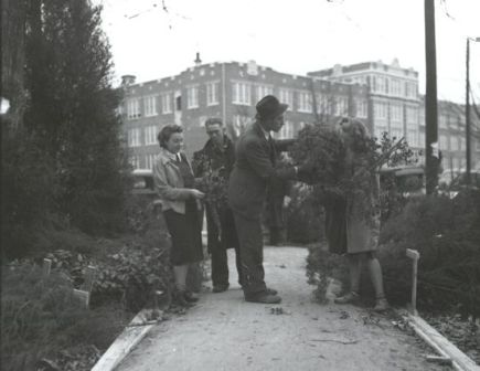 raleigh_christmas_5_540_418_80