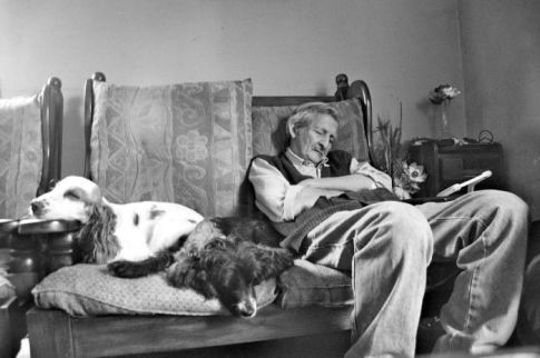 415471721_cf25401c4d_o