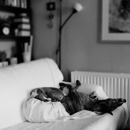 040213LinaGrikisSiga