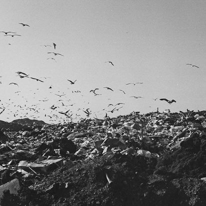 12407251_1678443889078013_1570724051_n