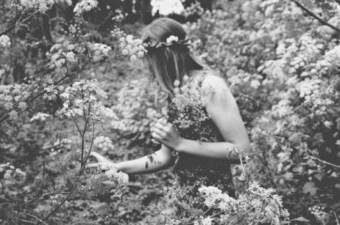 Favim.com-beautiful-black-and-white-flower-flowers-garden-452038