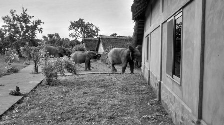 img_20160925_082835273_hdr