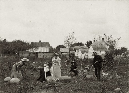 in-the-pumpkin-field-at-lewes-delaware-photographers-wife-daughter-and-friends-1898-james-bartlett-rich-philadelphia-1866-1942-2