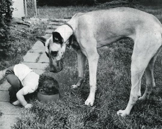 a421bc7cf8fbb3eb81015b2de80a111d