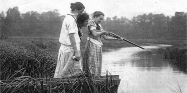 635984590142194484-shark-2