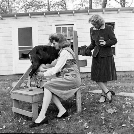 425582_379904758696116_187665981253329_1451117_1273156771_n