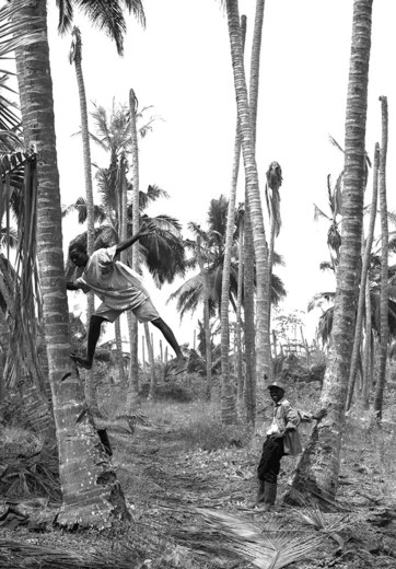 image-20161118-19361-5odcvc