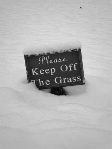 307e478e0af583f1924d33ff4d394691--winter-fun-winter-snow