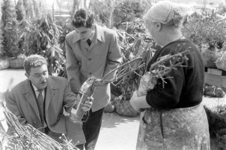 3362276c185e362e_landing