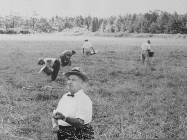 a2403383dcbd005f53953b64c9baa8d5